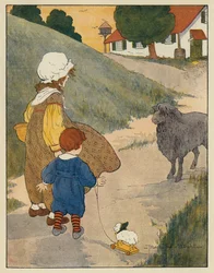 Baa, Baa, Mouton Noir